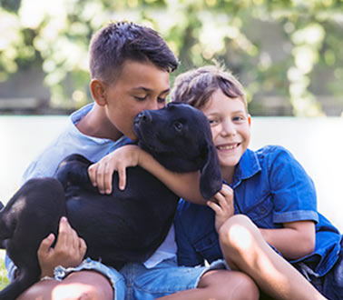 children and pets